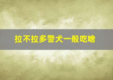 拉不拉多警犬一般吃啥