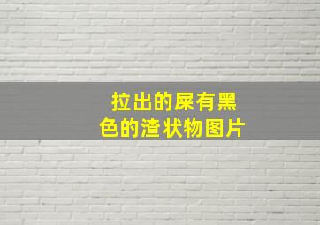 拉出的屎有黑色的渣状物图片