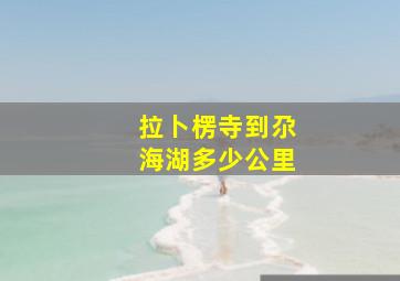 拉卜楞寺到尕海湖多少公里