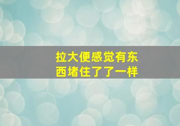 拉大便感觉有东西堵住了了一样