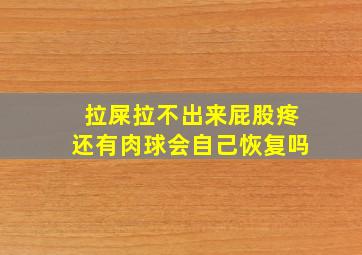 拉屎拉不出来屁股疼还有肉球会自己恢复吗