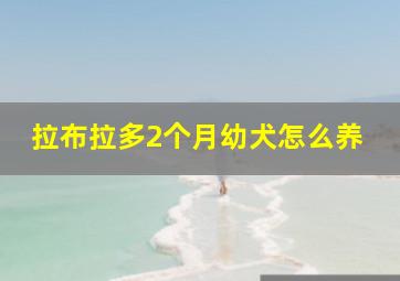 拉布拉多2个月幼犬怎么养