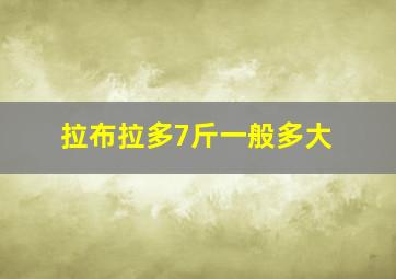 拉布拉多7斤一般多大