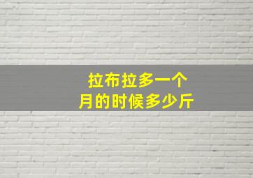 拉布拉多一个月的时候多少斤