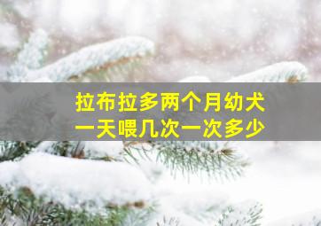 拉布拉多两个月幼犬一天喂几次一次多少