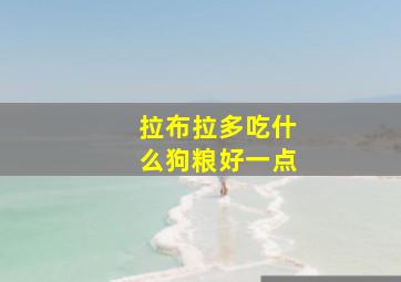 拉布拉多吃什么狗粮好一点