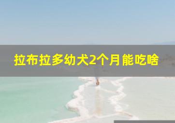 拉布拉多幼犬2个月能吃啥