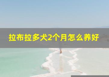 拉布拉多犬2个月怎么养好