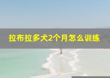 拉布拉多犬2个月怎么训练