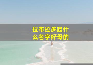 拉布拉多起什么名字好母的