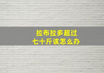 拉布拉多超过七十斤该怎么办