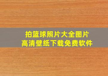 拍篮球照片大全图片高清壁纸下载免费软件