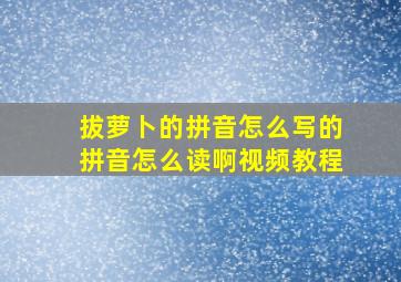 拔萝卜的拼音怎么写的拼音怎么读啊视频教程