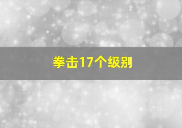 拳击17个级别