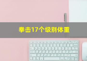 拳击17个级别体重