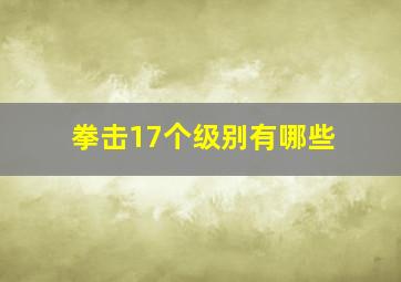 拳击17个级别有哪些