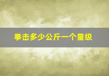 拳击多少公斤一个量级