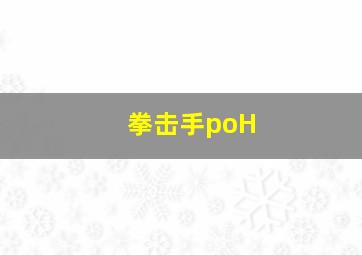 拳击手poH