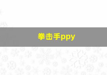 拳击手ppy