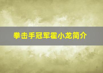 拳击手冠军霍小龙简介