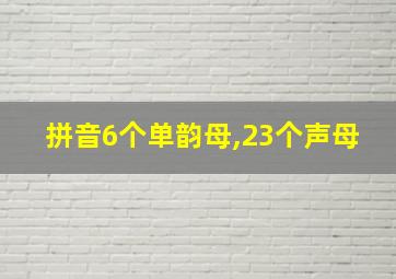 拼音6个单韵母,23个声母