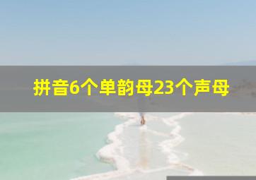 拼音6个单韵母23个声母