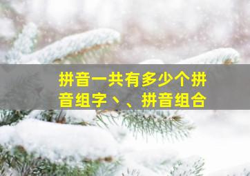 拼音一共有多少个拼音组字丶、拼音组合