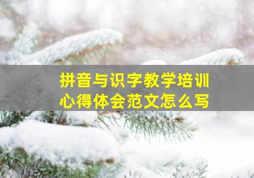 拼音与识字教学培训心得体会范文怎么写