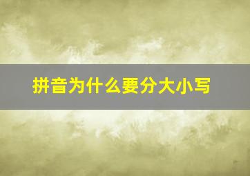 拼音为什么要分大小写