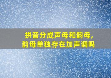 拼音分成声母和韵母,韵母单独存在加声调吗