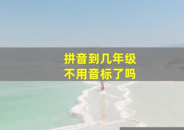 拼音到几年级不用音标了吗