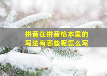 拼音在拼音格本里的写法有哪些呢怎么写