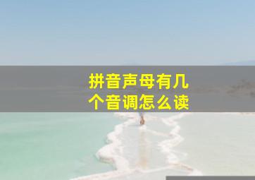 拼音声母有几个音调怎么读