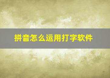 拼音怎么运用打字软件