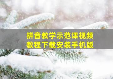 拼音教学示范课视频教程下载安装手机版