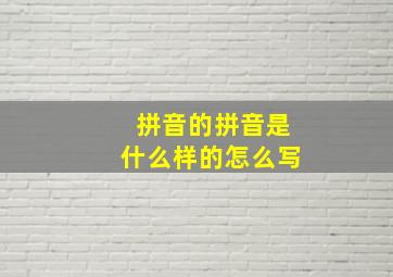 拼音的拼音是什么样的怎么写