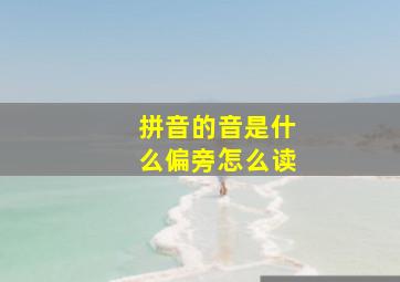 拼音的音是什么偏旁怎么读