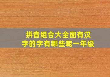 拼音组合大全图有汉字的字有哪些呢一年级