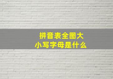 拼音表全图大小写字母是什么