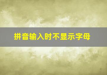 拼音输入时不显示字母