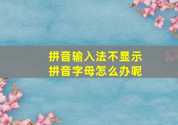 拼音输入法不显示拼音字母怎么办呢