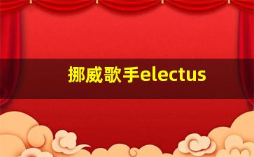 挪威歌手electus