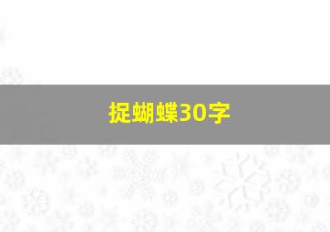 捉蝴蝶30字