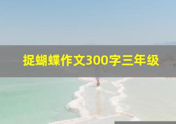 捉蝴蝶作文300字三年级