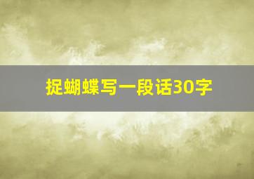 捉蝴蝶写一段话30字