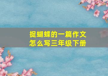 捉蝴蝶的一篇作文怎么写三年级下册