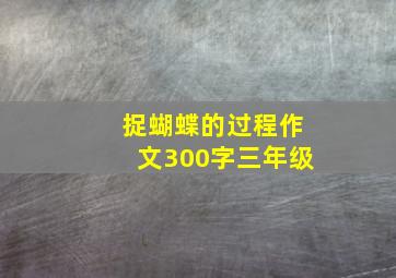 捉蝴蝶的过程作文300字三年级