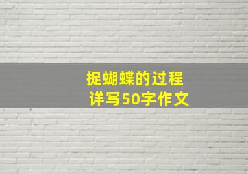 捉蝴蝶的过程详写50字作文