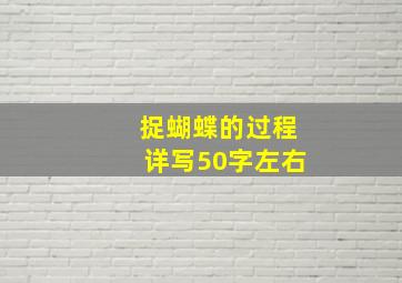 捉蝴蝶的过程详写50字左右