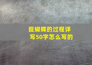 捉蝴蝶的过程详写50字怎么写的